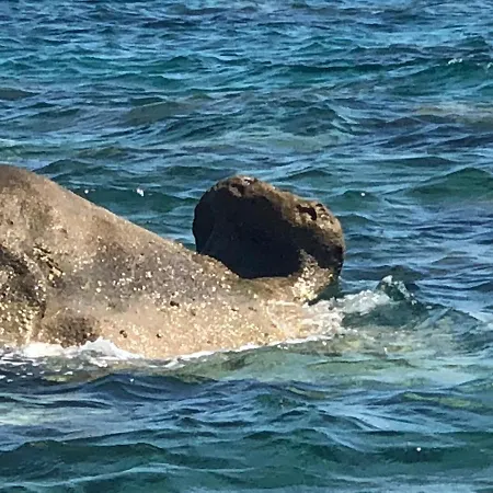 Apartment Mare Panoramica Estia *