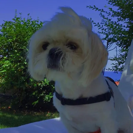 Mare Panoramica Estia 布兰卡莱奥内码头