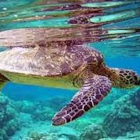 Apartamento Mare Panoramica Estia