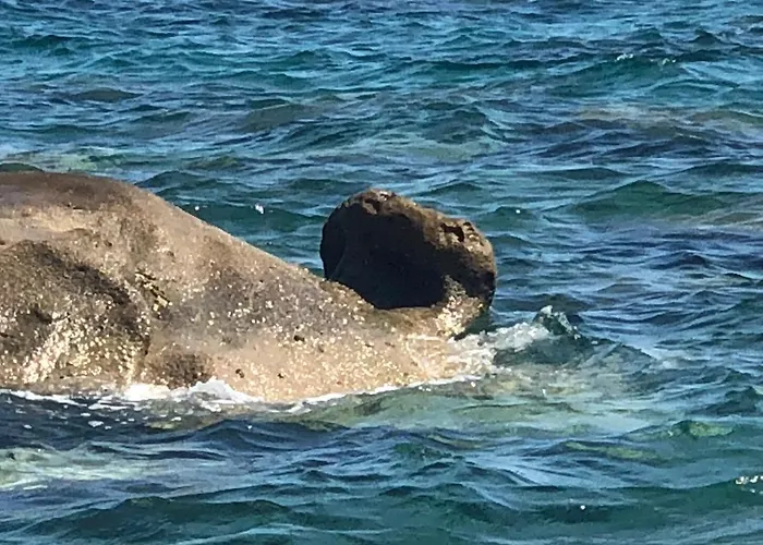 דירה Mare Panoramica Estia *