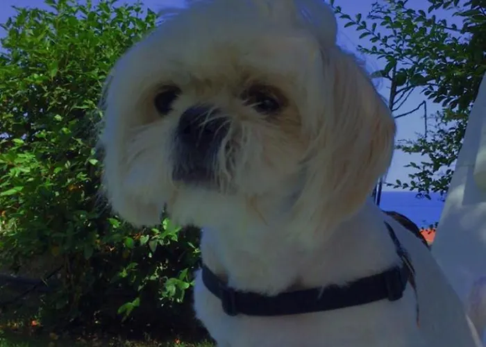 Mare Panoramica Estia 布兰卡莱奥内码头