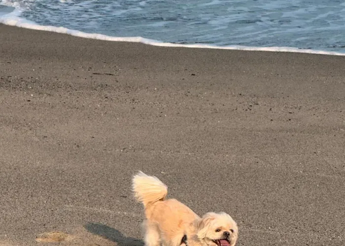 Mare Panoramica Estia